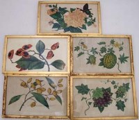 Lot 200 - Five rice paper paintings of fruit.