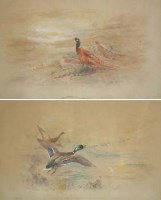 Lot 277 - Pair of watercolours by James Stinton.