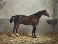 Lot 771 - Frank Paton, Portrait of a racehorse in a stable, oil.