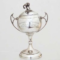 Lot 310 - Silver bowls trophy cup and cover.