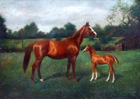Lot 134 - Herbert St John Jones, Belle of Mayfair and Filly Foal by the Tinman, oil