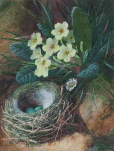 Lot 160 - C.H. Slater, Still life study of primroses and a bird's nest, watercolour