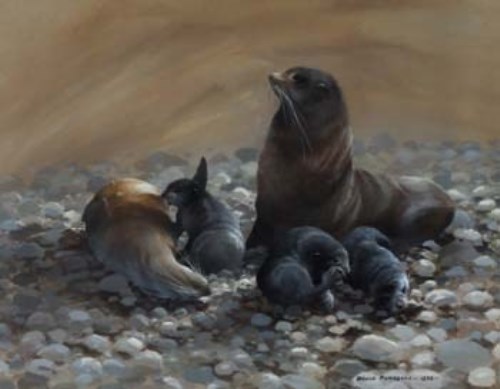 Lot 33 - Bruce Pearson, Seals with pups, gouache