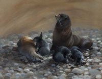 Lot 33 - Bruce Pearson, Seals with pups, gouache