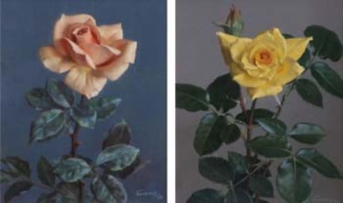 Lot 50 - Evans, 20th century, Floral studies, oil (2)