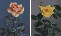Lot 50 - Evans, 20th century, Floral studies, oil (2)