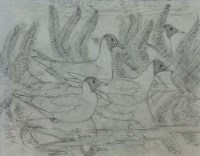 Lot 60 - C.F. Tunnicliffe, Black headed gulls in eel grass, pencil