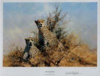 Lot 105 - 2 signed Shepherd prints and a signed book (3)