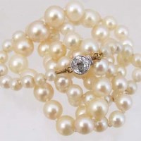 Lot 331 - Single strand pearl choker graduated necklace, on
