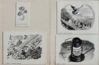 Lot 103 - Charles F. Tunnicliffe, Four illustrations, scraperboard (4)
