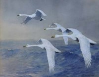 Lot 130 - Roland Green, Swans Over The Sea, watercolour