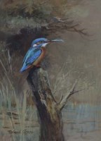 Lot 131 - Roland Green, Kingfisher, watercolour