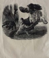 Lot 142 - Charles F. Tunnicliffe, Bob Martin Spaniels and one other, woodcut (3)