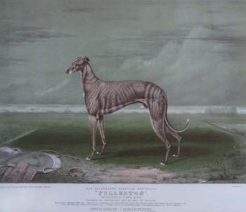 Lot 130 - Champion greyhound Fullerton, lithograph