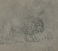 Lot 172 - S. Gilpin, Prowling lion, pencil