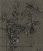 Lot 136 - Graham Sutherland, Botanical study, crayon