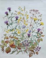 Lot 160 - Patience Arnold, Floral still life studies, watercolour (2)