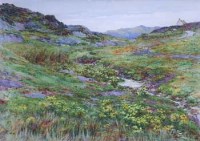 Lot 258 - William Craigmile, Wild Flowers on the Moor, watercolour