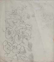 Lot 200 - C. F. Tunnicliffe, Floral study, pencil