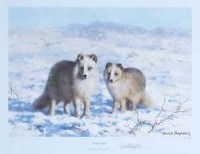 Lot 237 - After David Shepherd, Arctic Foxes, signed ltd edition print