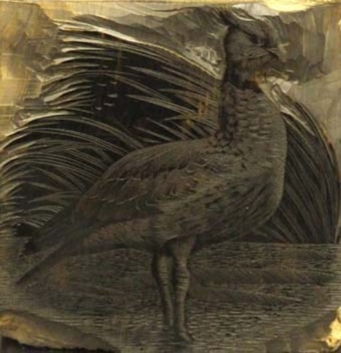 Lot 261 - C.F. Tunnicliffe, crested screamer, woodblock