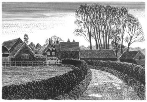 Lot 172 - C.F. Tunnicliffe, country lane in evening light, scraperboard