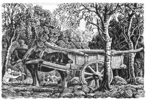 Lot 174 - C.F. Tunnicliffe, horse and cart, ink on scraperboard