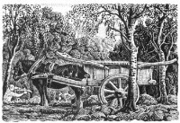 Lot 174 - C.F. Tunnicliffe, horse and cart, ink on scraperboard
