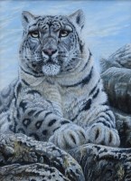 Lot 277 - David L. Prescott, Snow leopard, acrylic