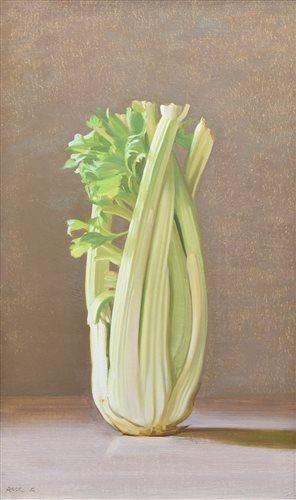483 - Stephen Rose, "An Arabesque of Celery", oil.