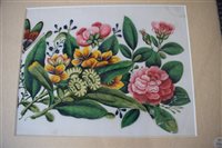 Lot 312 - Twelve late 19th century Chinese ricepaper paintings of floral design (12).