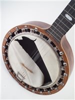 Lot 50 - The Windsor Artist Model No.4 Zither banjo