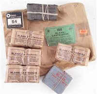 Lot 93 - Collection of blank cartridges, Snider, Martini. .303.