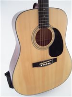 Lot 107 - Tanglewood steel string acoustic guitar in case