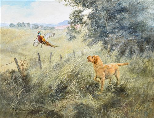 Lot 386 - Henry Wilkinson, Golden labrador and a pheasant, oil.