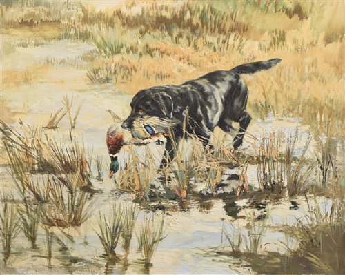 Lot 246 - Henry Wilkinson, Black labrador retrieving a duck, oil.